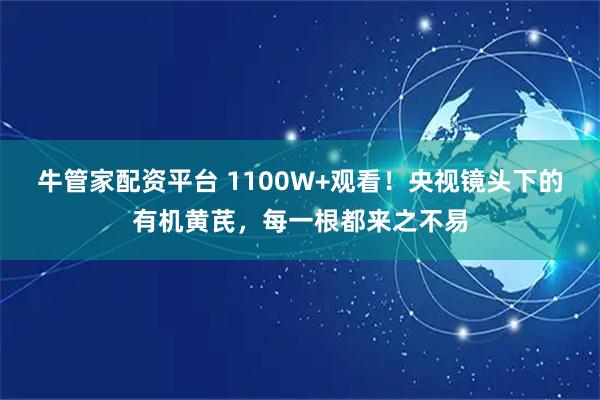 牛管家配资平台 1100W+观看！央视镜头下的有机黄芪，每一根都来之不易
